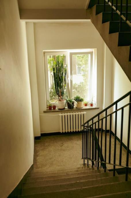 Retro Vibe In The Green District Of Βαρσοβία Εξωτερικό φωτογραφία
